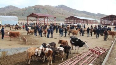 Van'da hayvan pazarı şap hastalığı nedeniyle 15 günlüğüne kapatıldı