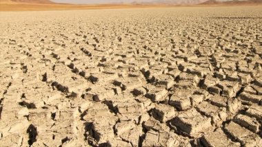 Rapor: Avrupa son 500 yılın en kurak dönemini yaşıyor