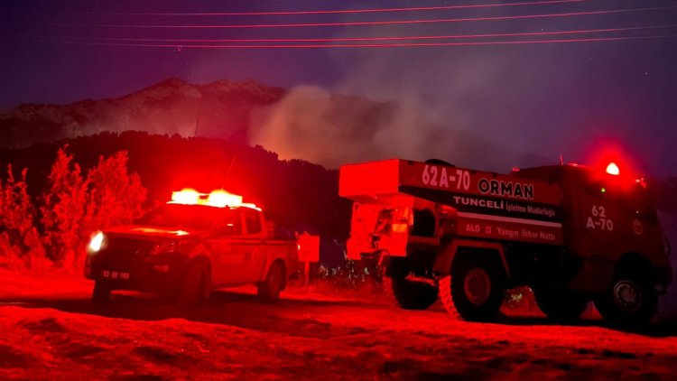 Dersim'de orman yangını