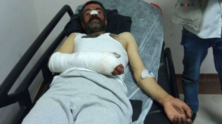 Bingöl'de bir çoban ayı saldırısına uğradı