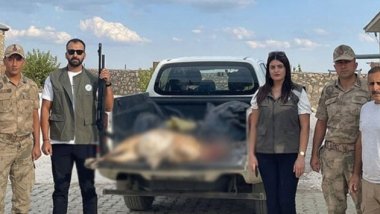 Dersim'de koruma altındaki yaban keçisini avlayan kişiye ceza