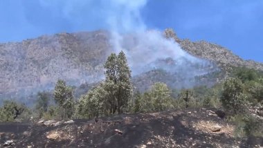 TSK’dan sınır bölgelerine bombardıman: 1 sivil yaralandı