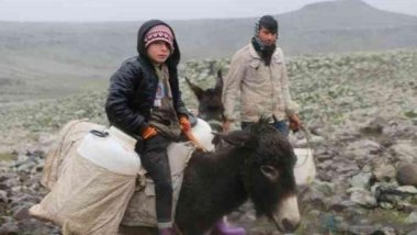 Urfa’da milyon dolarlık proje çöktü: Köylüler eşeklerle su taşıyor