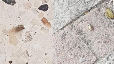 Karlıova'da HDP ilçe binasına silahlı saldırı