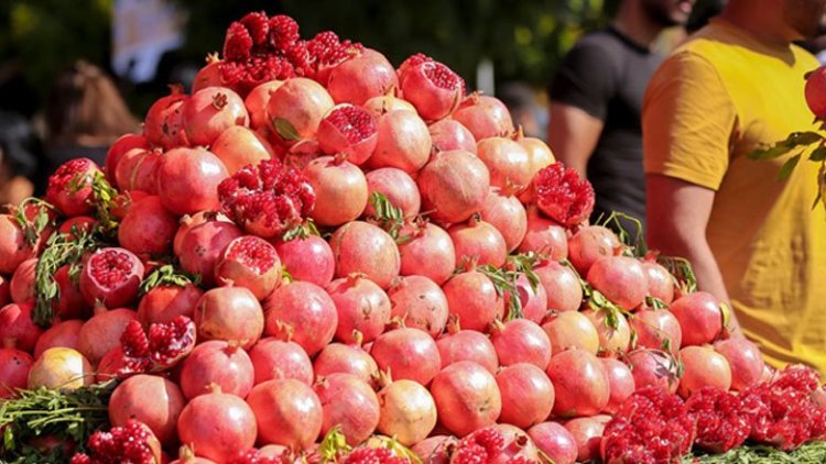 Halepçe narı BAE'ye ihraç edilecek