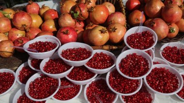 Halepçe’de '8. Nar ve Sonbahar Festivali' başladı