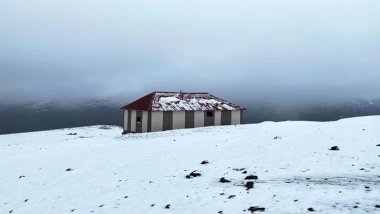 Muş'a mevsimin ilk karı yağdı
