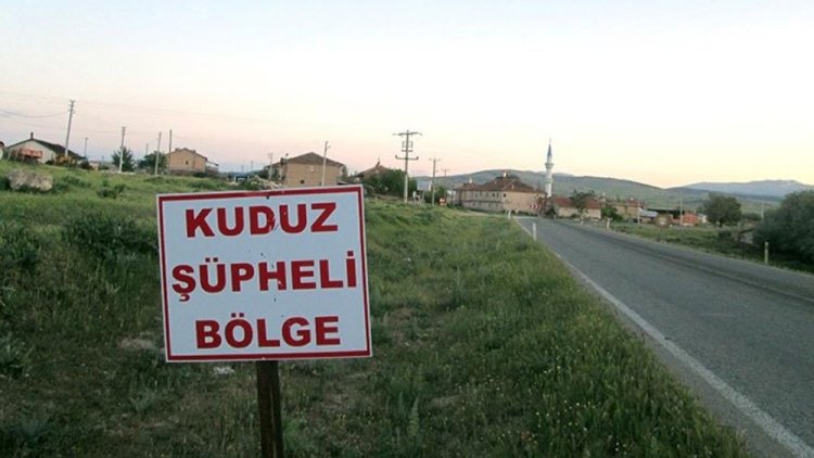 Adıyaman'da iki mahalle kuduz nedeniyle karantinaya alındı
