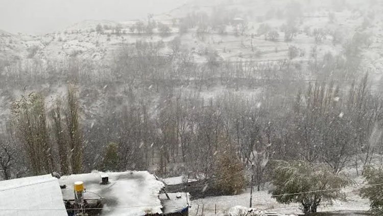 Van'da kar yağışı: Kalınlık 20 santimetreye ulaştı