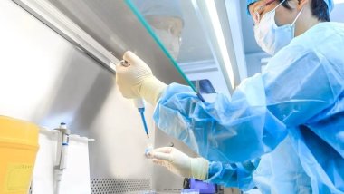 Çin'de hayvanlardan insanlara bulaşabilen yeni bir virüs tespit edildi