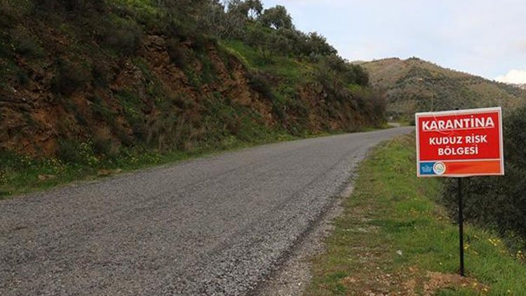 Kars'ta bir köy kuduz nedeniyle karantinaya alındı