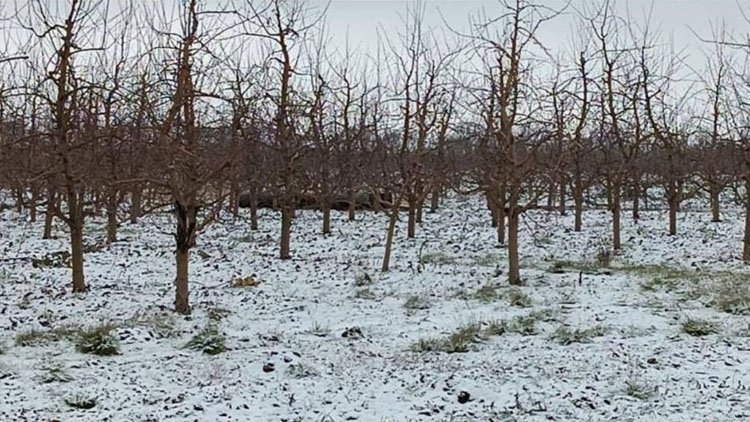 Moldova’nın kuzeyine kime ait olduğu belirsiz bir füze düştü