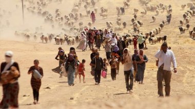 Almanya Yeşiller Partisi: Ezidi soykırımının gelecek senenin başında tanınmasını bekliyoruz