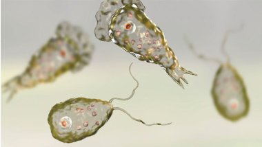 Güney Kore'de 'beyin yiyen amip' nedeniyle ilk ölüm gerçekleşti