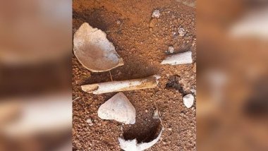 Şengal’de yeni bir toplu mezar bulundu