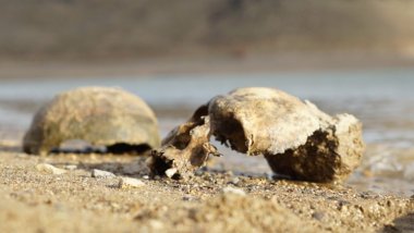 Zilan'daki kemiklere ilişkin önerge reddedildi