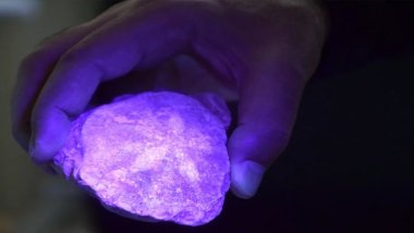 Bitlis'te 70 milyon yıllık fosiller bulundu