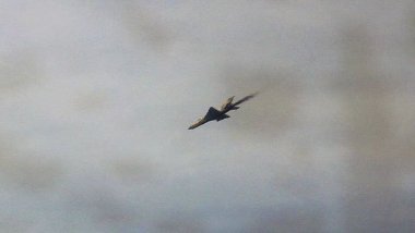 Afrika'da gerilim: Ruanda, Kongo Demokratik Cumhuriyeti'nin savaş uçağını vurdu