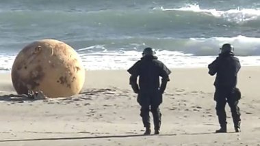 Japonya'da kıyıya vuran metal kürenin enkazı kaldırıldı: Yetkililer ne olduğunu açıklamadı