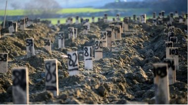 Adli tıp uzmanı: 5 bin kişi kimliksiz defnedildi