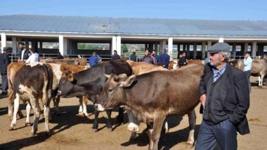 Ağrı ve Kars’ta hayvan pazarı kapatıldı