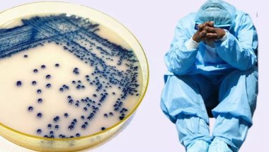 ABD'de 'ölümcül mantar' alarmı: Hastalar 90 gün içinde ölüyor