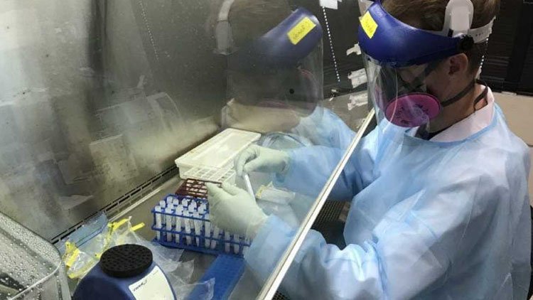 Covid-19’un kökeni: Çinli bilim insanları beklenen verileri yayınladı