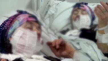 Erzurum'da kurt saldırısı: 1'i ağır 4 yaralı