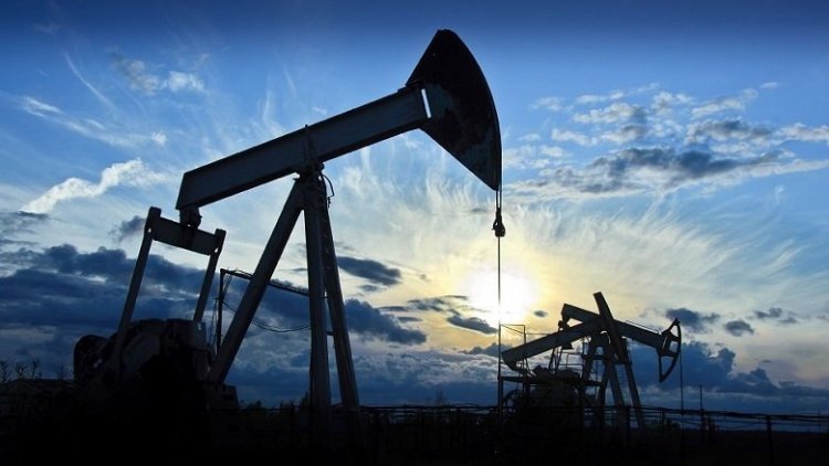 4 Kürt ilinde TPAO'ya petrol arama izni