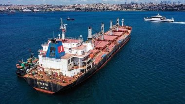 Ukrayna: Tahıl Girişimi yine durduruldu