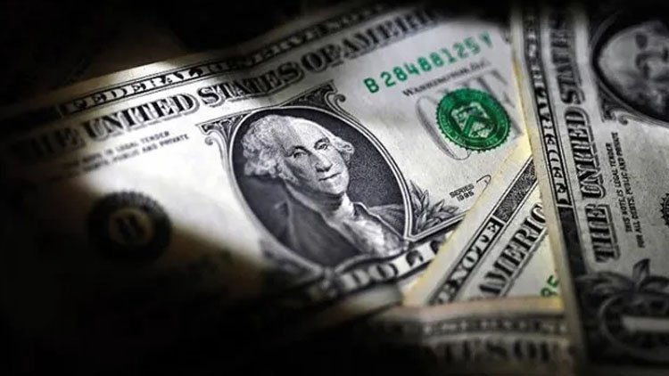 Türkiye: Dolar ve Euro'dan yeni rekor
