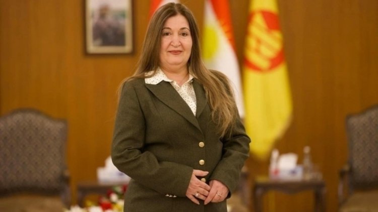 Viyan Sabri: 'KDP olarak 14. maddede değişikliği kabul etmedik'