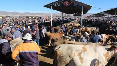 Sivas'ta şap karantinası nedeniyle kurban pazarı açılmayacak