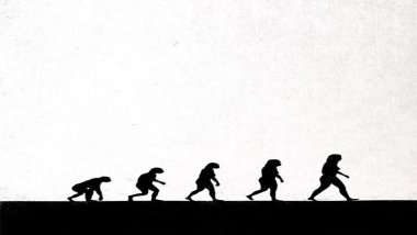 İnsanlığın Erdemli Olma Yolundaki Uzun Yürüyüşü; Evim mi? Devrim mi? 