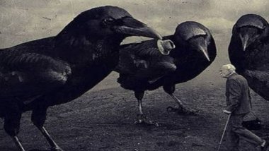 Karga rehber olarak atanır 