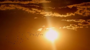 Dünya, 3 Temmuz'da tüm zamanların en sıcak gününü yaşadı: El Nino koşulları başladı