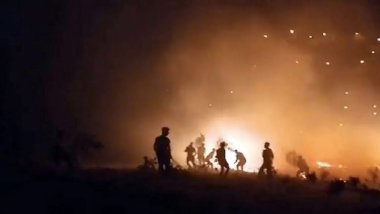 Siirt'te fıstık bahçesinde çıkan yangın ormana sıçradı