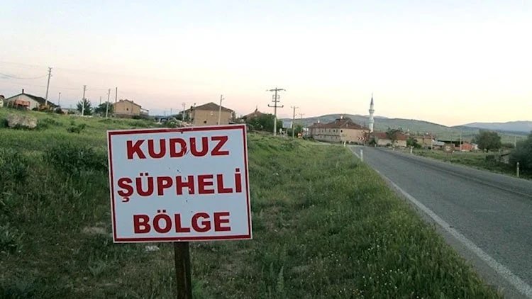 Urfa’da kuduz alarmı