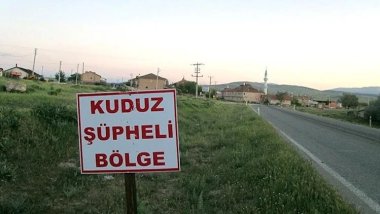 Urfa’da kuduz alarmı