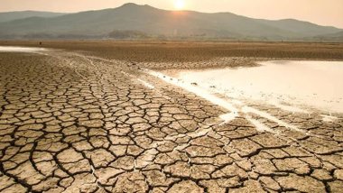 Irak’ta yaşanan şiddetli kuraklık nedeniyle binlerce çiftçi göç etti