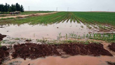 Depsaş’tan 6 ildeki çiftçilere uyarı: Abonelikleri feshedilecek