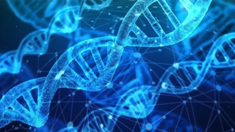 DNA’da görüntü depolayan ‘biyolojik kamera’ geliştirildi