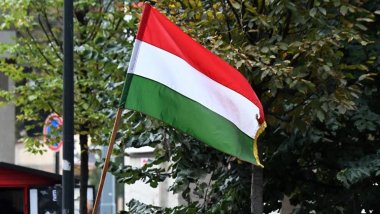 Macaristan'dan İsveç açıklaması