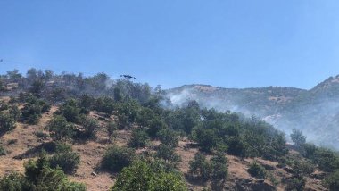 Bingöl’de orman yangını