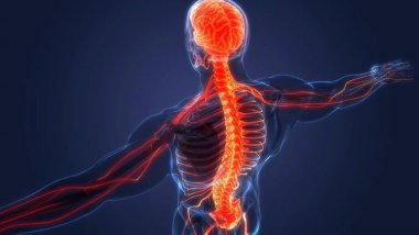 Felç tedavisiyle ilgili umut veren çalışma