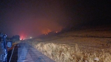 Diyarbakır’da orman yangını