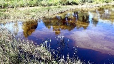 Sivas Valiliği'nden Kızılırmak'taki tedirgin eden görüntüyle ilgili açıklama