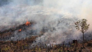 Operasyonlar nedeniyle Amedi ormanları bir haftadır yanıyor