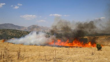 Diyarbakır-Lice’deki orman yangını söndürüldü