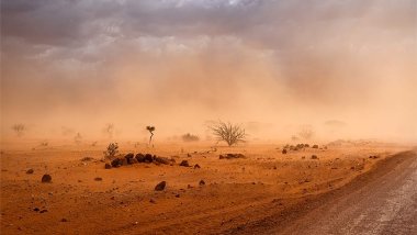 DSÖ'den 'acil ortak eylem' çağrısı